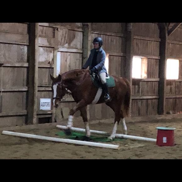 Meet your Posher, Gail - Picture 10 of 14